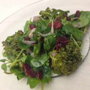 Watercress Salad